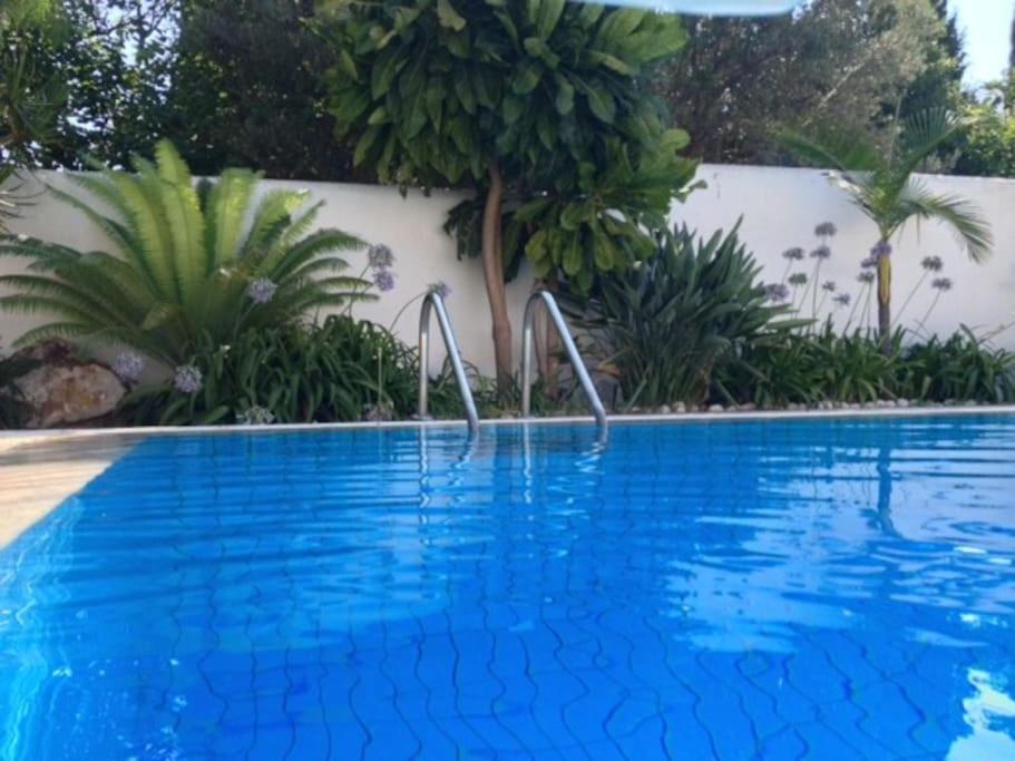Villa Elloise Palermo Exterior foto