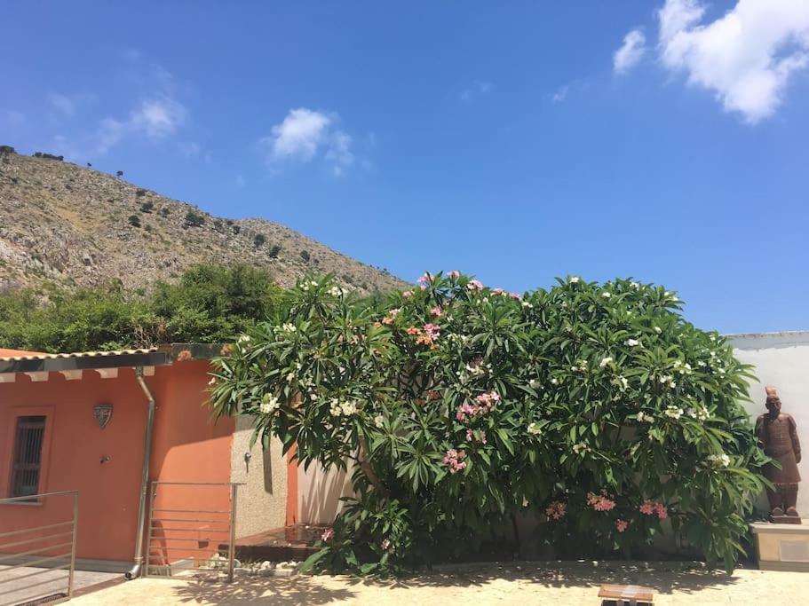 Villa Elloise Palermo Exterior foto